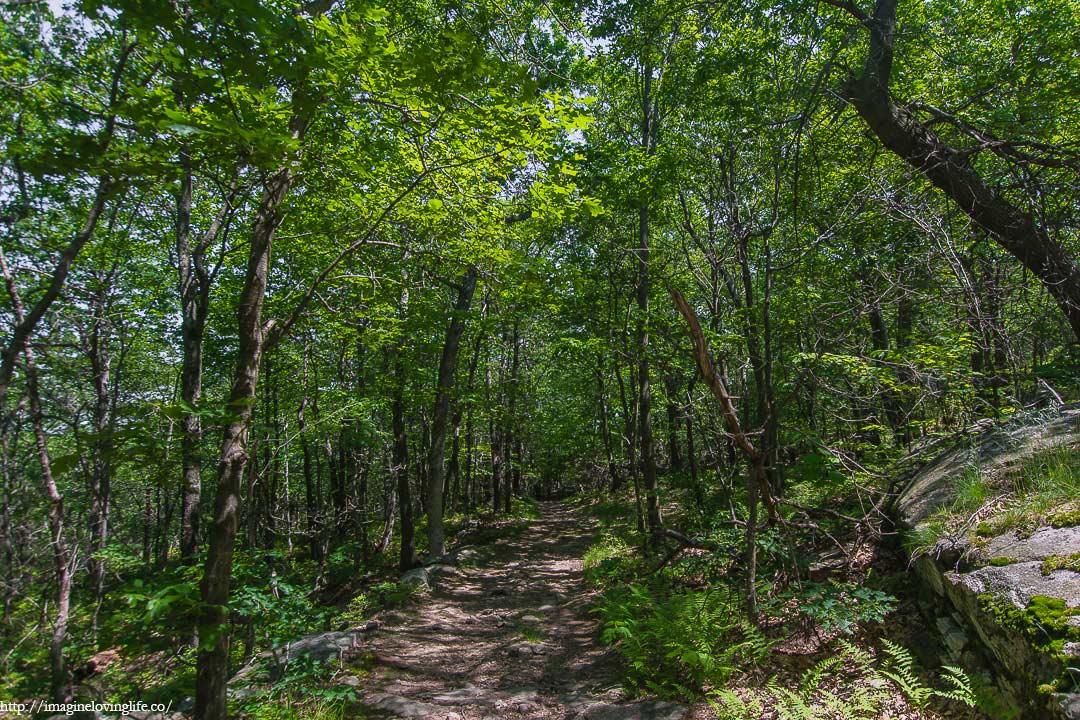 White Trail Descent